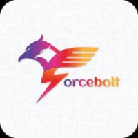 Forcebolt - React JS development services