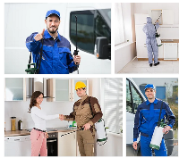 Business Listing Local Pest Control Crystal Creek in Crystal Creek VIC