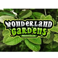 Business Listing Wonderland Gardens in Wilmington NC