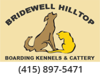 Business Listing Bridewell Hilltop Boarding Kennels & Cattery in Novato CA