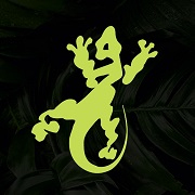 Business Listing Neon Lizard Creative Marketing & Design, LLC in Burnsville MN