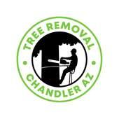 Business Listing Tree Removal Chandler AZ in Chandler AZ