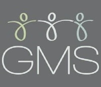 Global Management Solutions Consulting