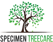 Business Listing Specimen Treecare in Auckland Auckland