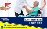 How much does Liver Transplant Cost in India