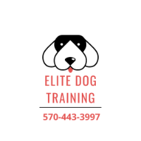 Business Listing Elite Dog Training in Scranton PA