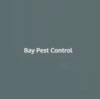 Business Listing Bay pest control in Carnforth England