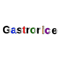 Business Listing Gastrorice in Lahore Punjab