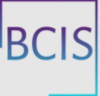 BC Investigative Services