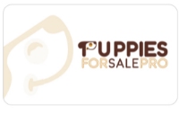 Puppies For Sale Pro LLc