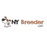 Business Listing NY Breeder in White Plains NY