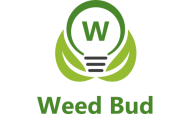 Business Listing DC Weed Bud Delivery in Washington DC