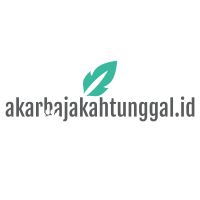 Distributor Akar Bajakah Asli Kalimantan