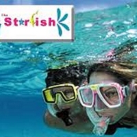 Business Listing Starfish Snorkeling Tours Marathon in Marathon FL