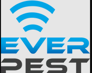 Everpest
