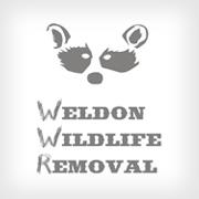 Business Listing Weldon Wildlife Removal in Clearwater FL