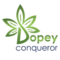 Business Listing Dopey Conqueror in Englewood NJ
