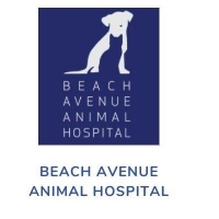 Beach Avenue Animal Hospital