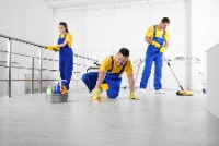 Business Listing Mississauga Cleaning Services in Mississauga ON