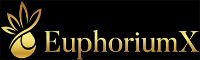 Business Listing EuphoriumX Ltd in Enfield England