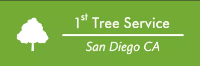 Business Listing 1st Tree Service San Diego CA in San Diego CA