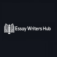 Essay Writers Hub