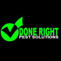 Done Right Pest Solutions