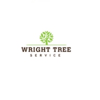 Business Listing Wright Tree Service in Ottawa ON