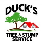 Business Listing Duck's Tree and Stump Service in Aurora IL