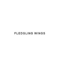 Fledgling Wings