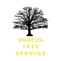 Business Listing Waukesha Tree Service in Waukesha WI