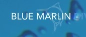 Blue Marlin Dive