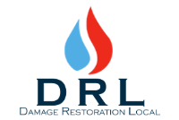Business Listing DRL Service Pros in Brooklyn NY