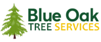 Blue Oak Tallahassee Tree Service.