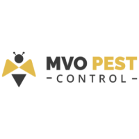 Pest Control in London, Ontario