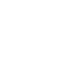 The Medical Hair Institute