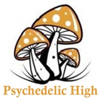 Business Listing Psychedelic High in Denver CO