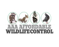 AAA Affordable Wildlife Control