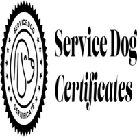 Business Listing Service Dog Certificate in Sydney NSW