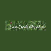 Cove Creek Alapahas