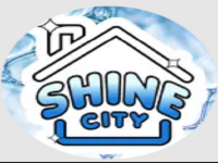 Business Listing Shine City Christmas Light Installation in Surrey BC