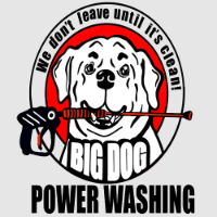 Big Dog Power Washing