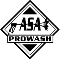 ASA Pro Wash