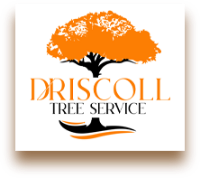 Business Listing Driscoll Tree Service in Snellville GA
