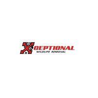 Business Listing Xceptional Wildlife Removal in Wilmington DE