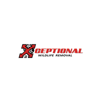 Business Listing Xceptional Wildlife Removal in Jacksonville FL