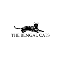 Business Listing The Bengal Cats in New York NY