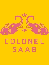 Colonel Saab