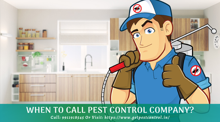 When to Call Pest Control Company?