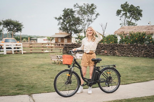 DYU C6 elektrische fiets: Een nieuwe kracht van het stadsleven, de perfecte combinatie van technologie en comfort